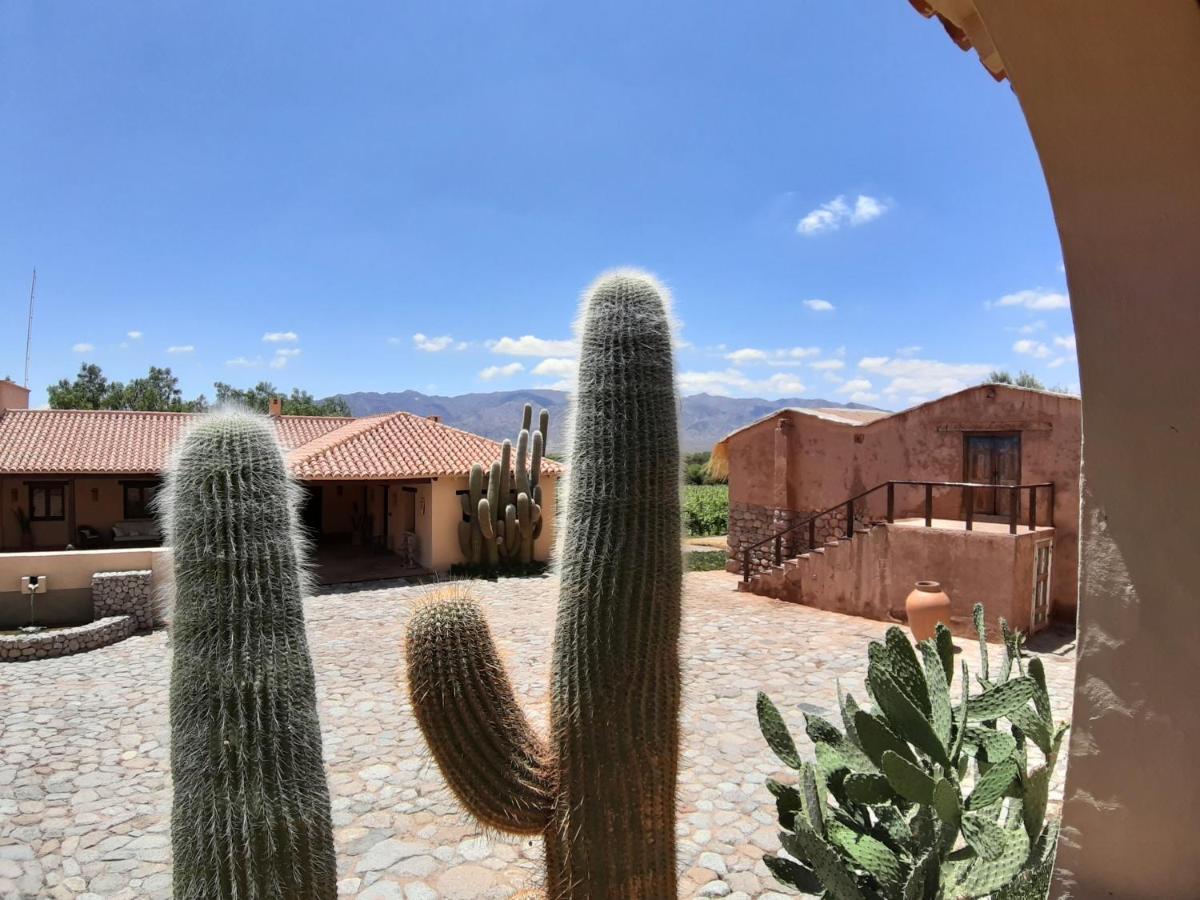 Estancia Colome مولينوس المظهر الخارجي الصورة