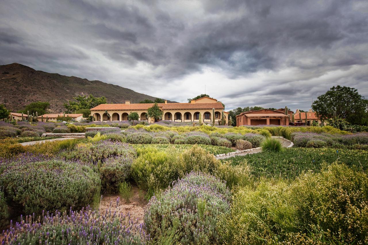 Estancia Colome مولينوس المظهر الخارجي الصورة